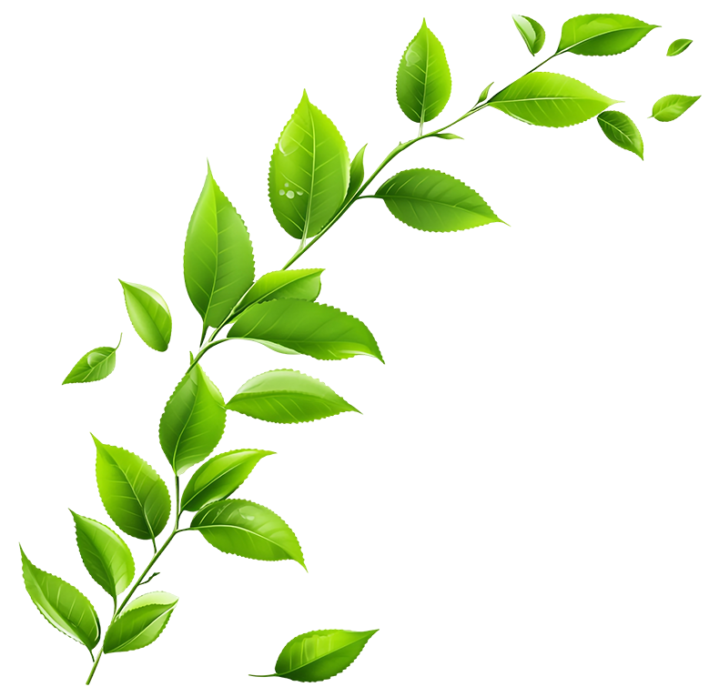 Plant Backdrop